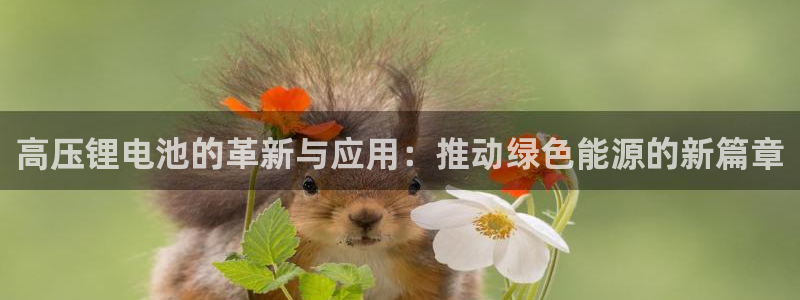 usdt钱包下载
