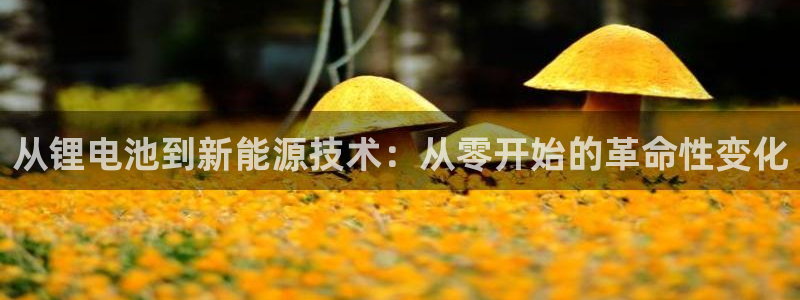 usdt提到什么钱包