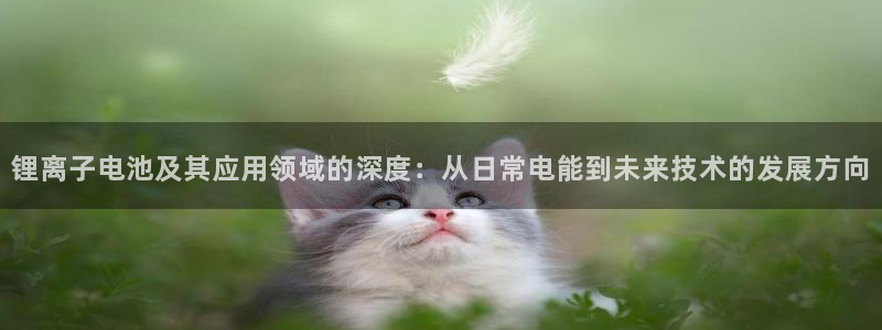 usdt钱包下载官网