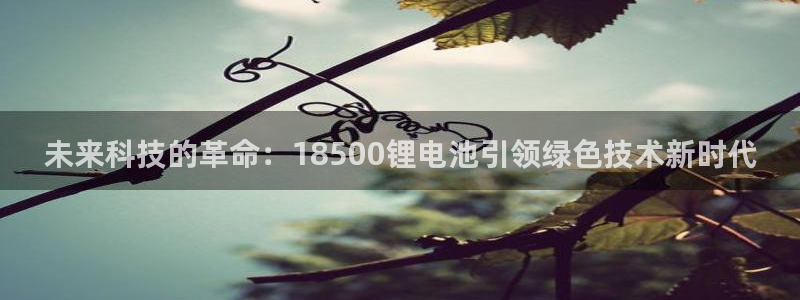 usdt收款地址