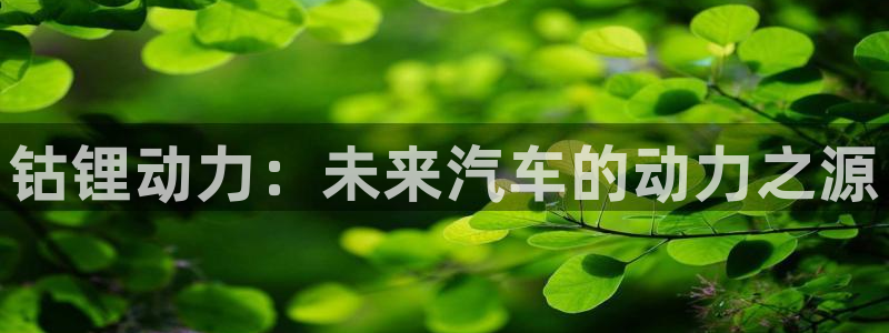 usdt钱包怎么下载安卓