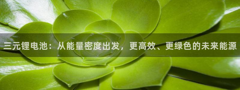 钱包买usdt