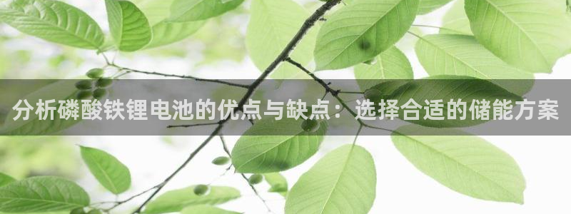 Usdt钱包地址怎么设置