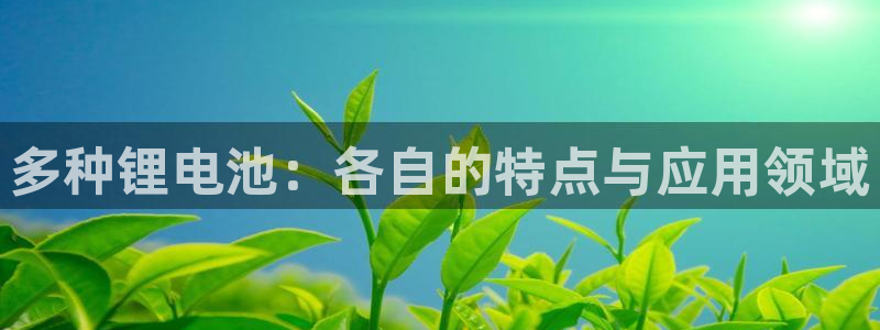 提现usdt地址