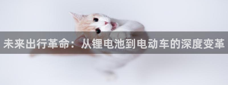 USDT钱包地址查询属于那个钱包