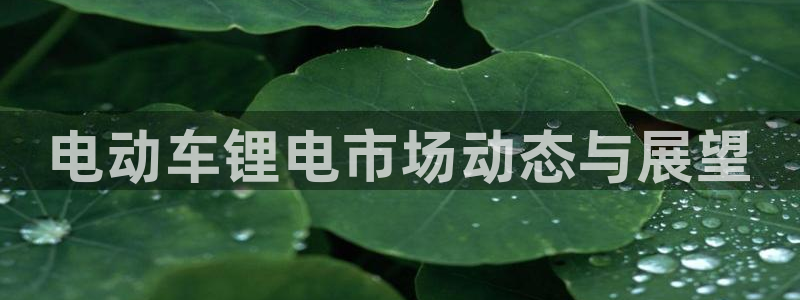 usdtwallet官网