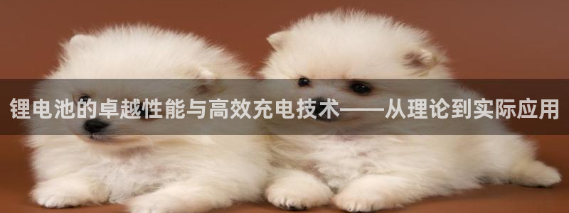 usdt价格怎么看