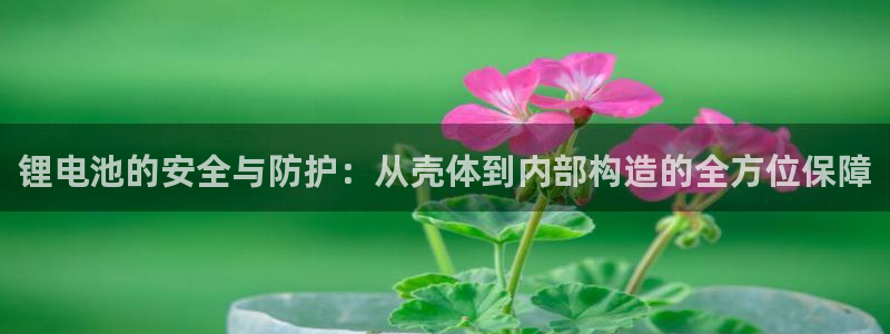 usdt币要用什么软件