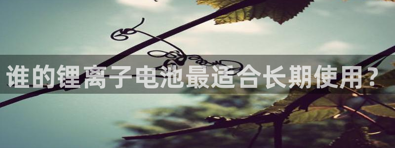 usdt钱包地址怎么弄