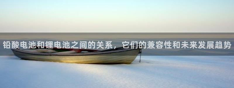 usdt区块浏览器erc20