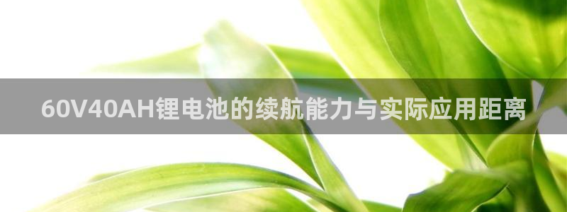 usdt网址