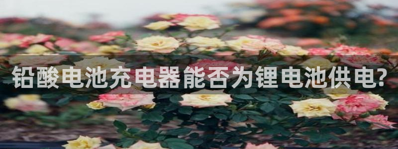 usdt支付平台