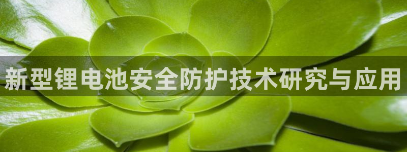 usdt币图片：新型锂电池安全防护技术研