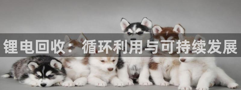 我的usdt币为什么会被冻结：锂电回收：